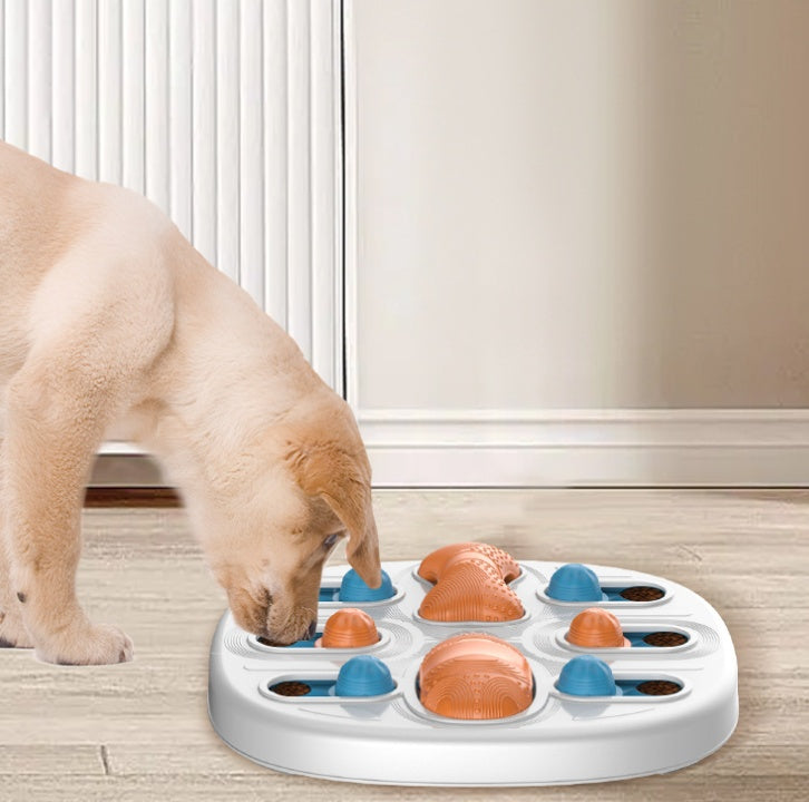Slow Feeder Plate for Cats and Dogs