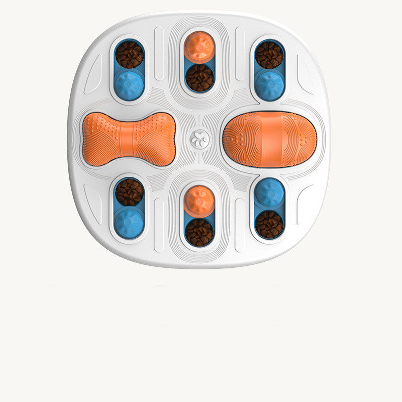 Slow Feeder Plate for Cats and Dogs