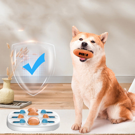 Slow Feeder Plate for Cats and Dogs